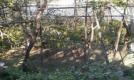 Monolocale con giardino-16