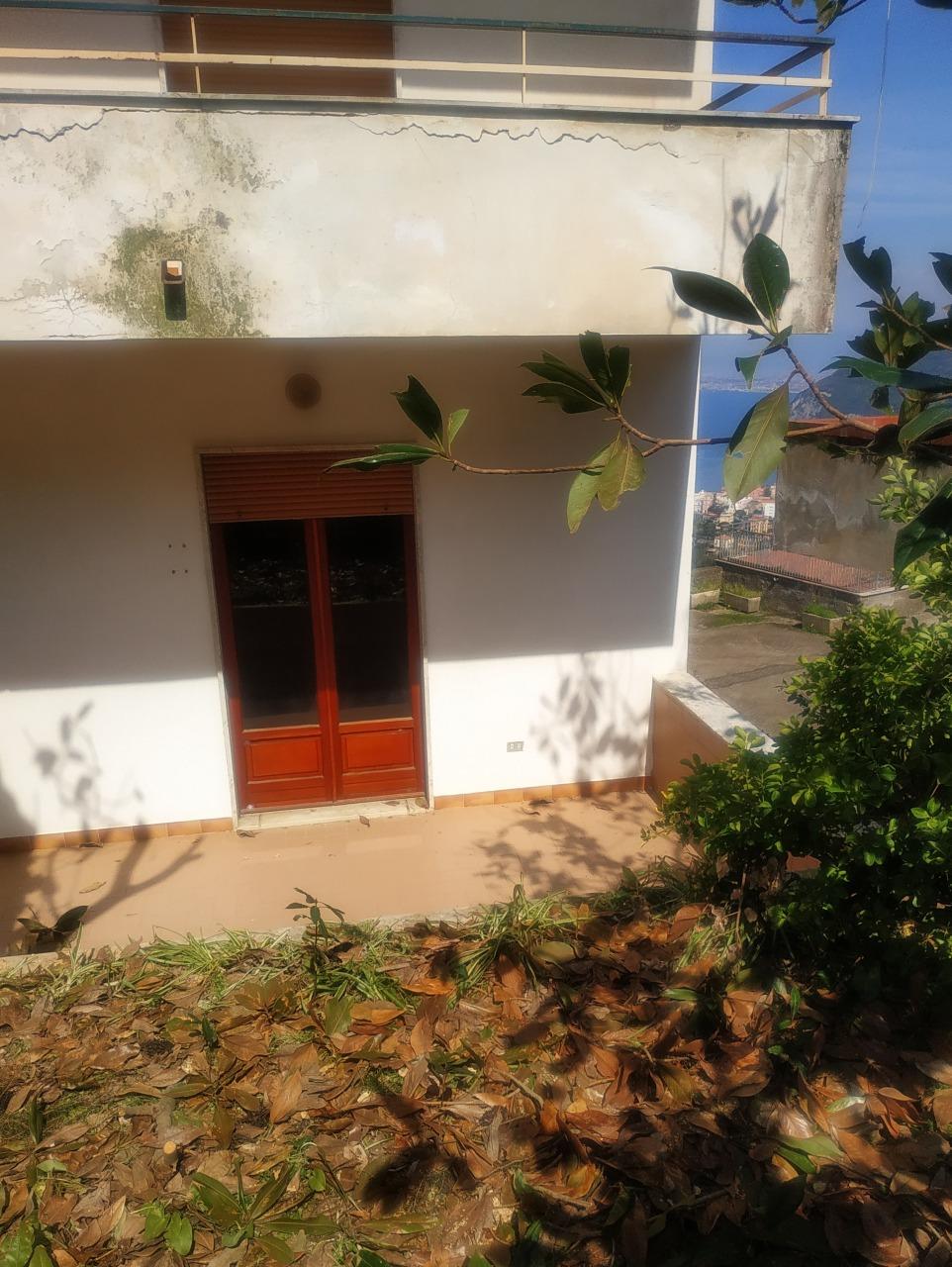 VICO 295-61