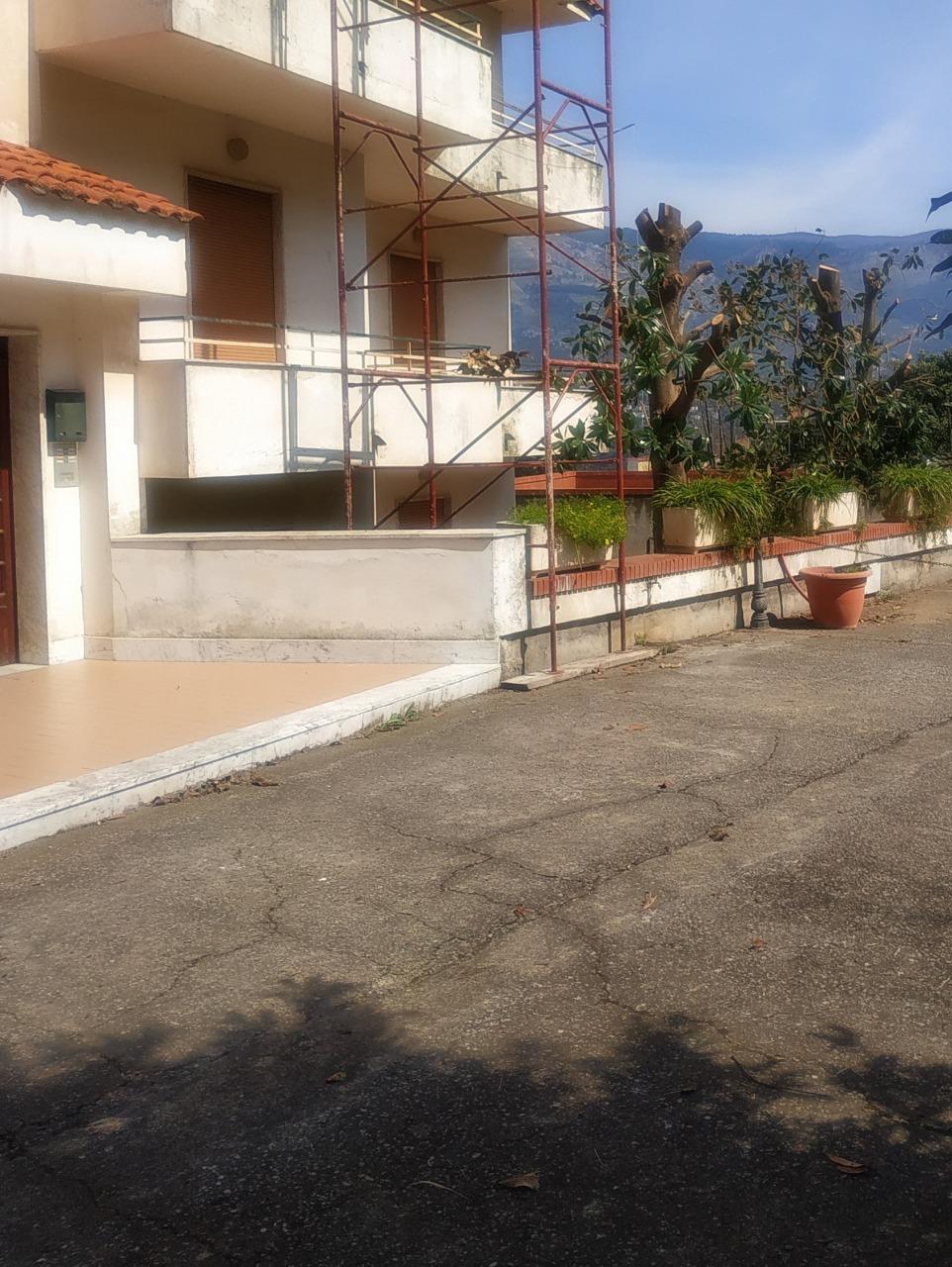 VICO 295-45