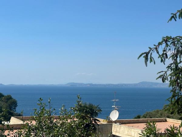 Fitto estivo