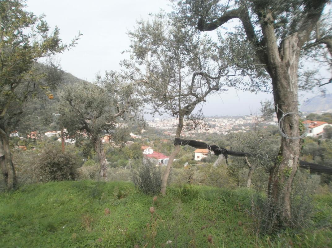 Giardino 5600mq-1