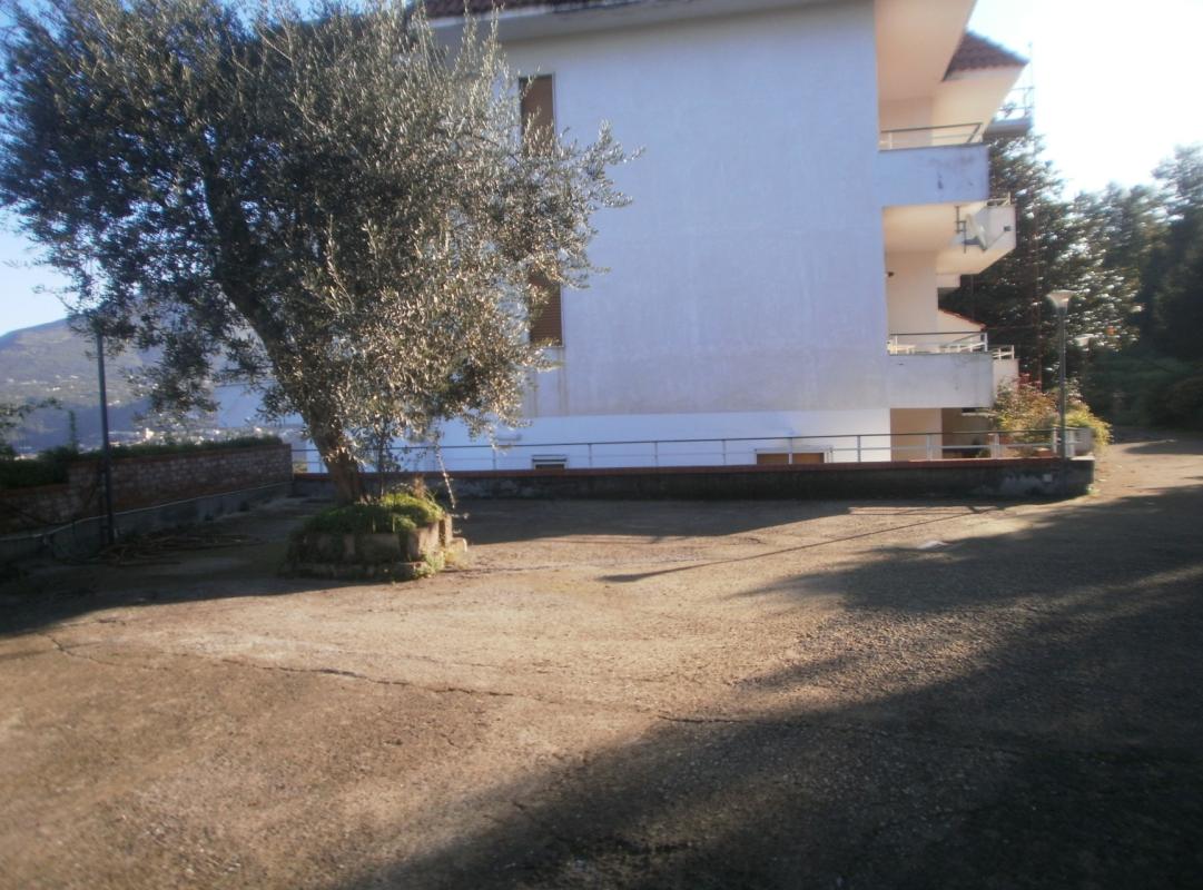 VICO 295-16