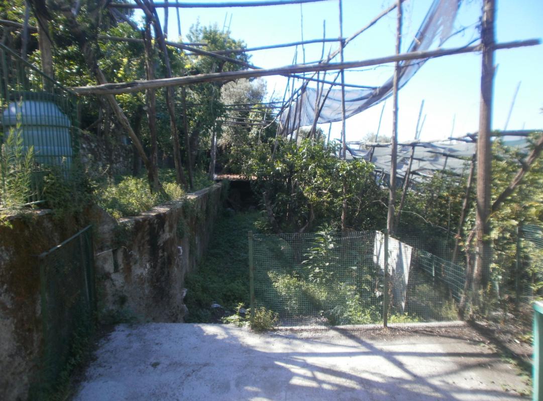 Monolocale con giardino-10