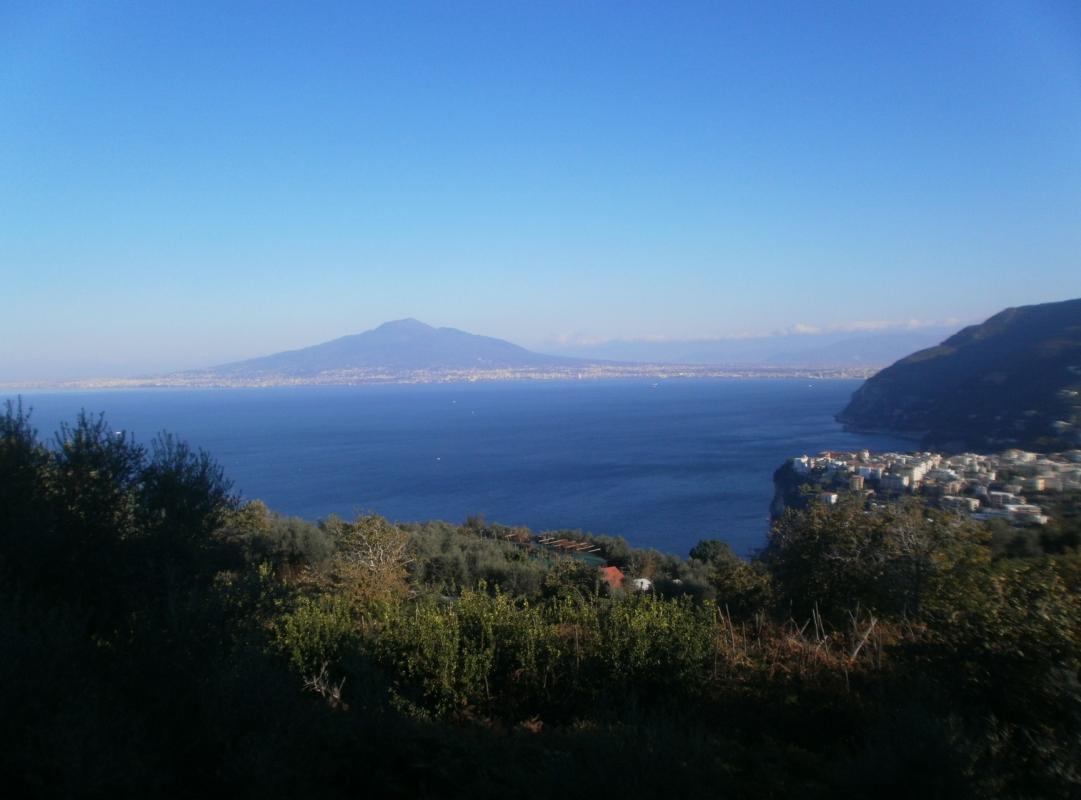 VICO 295-17