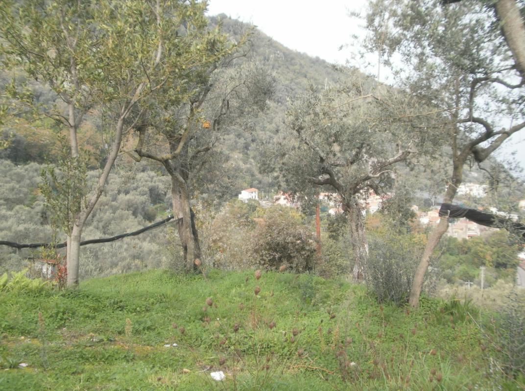 Giardino 5600mq-4