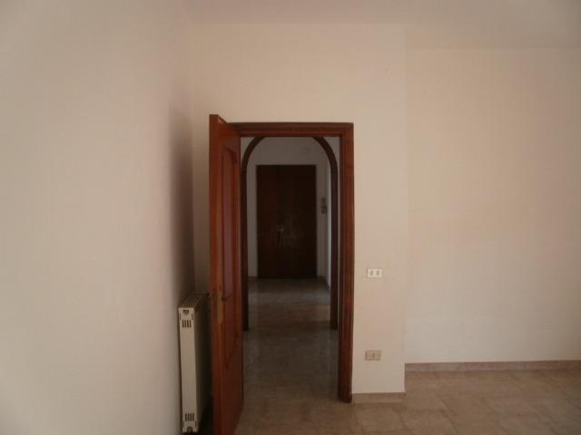 VICO 295-11