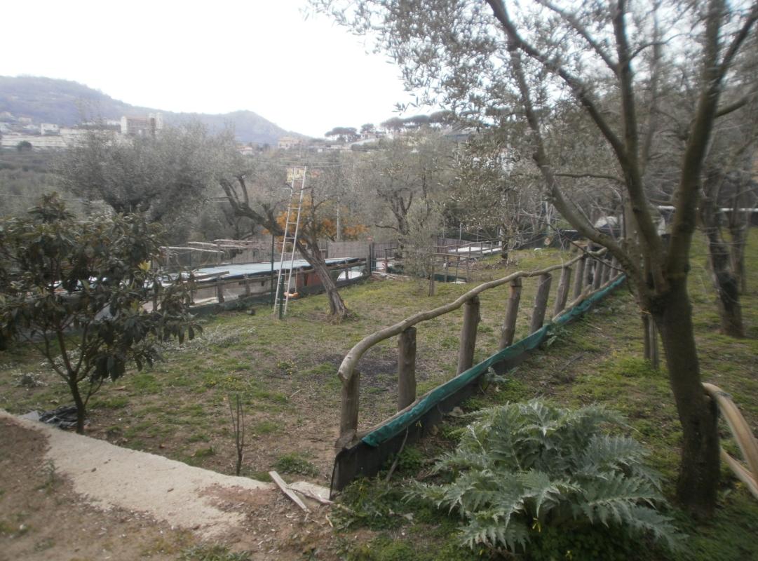 Giardino 900mq-14